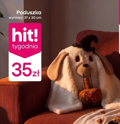 Poduszka 37x30 cm Pepco promocja w Pepco