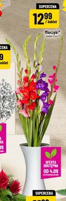 Mieczyki bukiet 5-pak promocja w POLOmarket