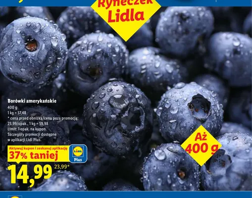 Borówki amerykańskie promocja w Lidl