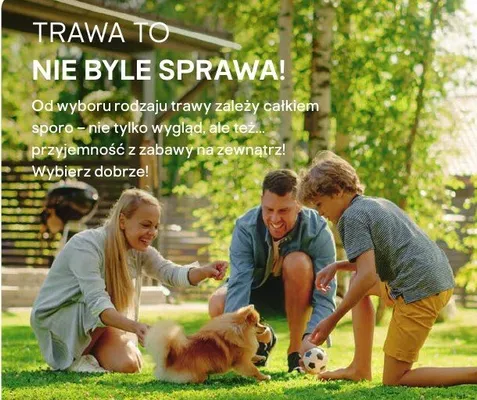 Uprawa, strona 43 promocja w Castorama