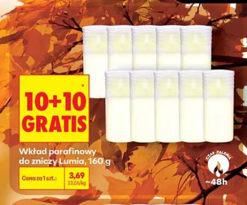 Wkład parafinowy do zniczy Lumia promocja w Biedronka
