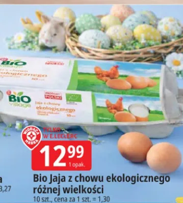 Bio jaja z chowu ekologicznego różnej wielkości promocja w Leclerc