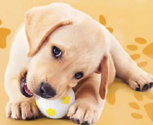 Gazetka, strona 38 promocja w Delikatesy Centrum