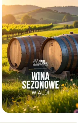 Świat alkoholi, strona 13 promocja w Aldi