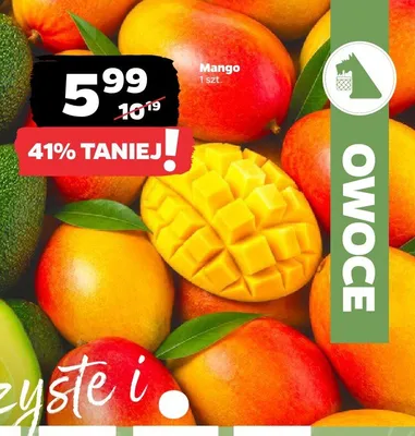 Mango promocja w Netto