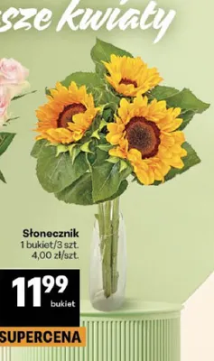 Słonecznik promocja w Delikatesy Centrum