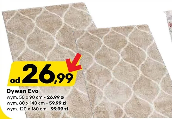 Dywan Evo promocja w Bricomarche