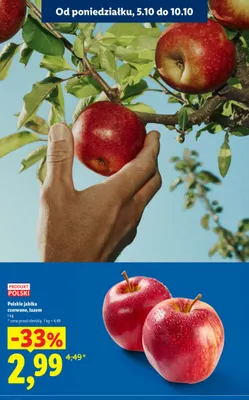 Jabłka polskie czerwone promocja w Lidl