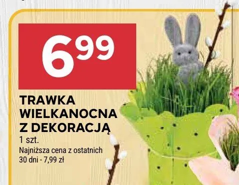 Trawka wielkanocna z dekoracją promocja w Stokrotka