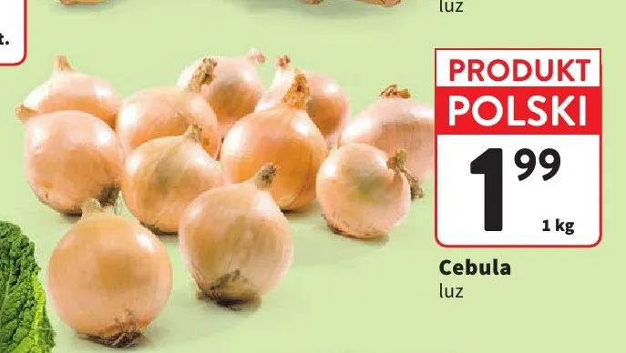 Cebula polska promocja w Intermarche