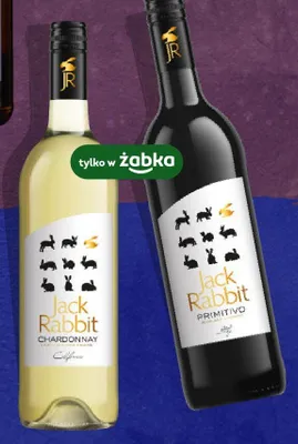 Wino Jack Rabbit Chardonnay półwytrawne promocja w Żabka