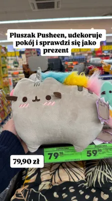 Pluszak Pusheen promocja w Biedronka