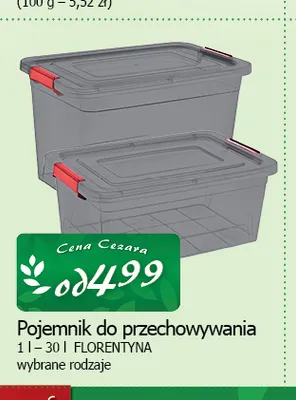 Pojemnik do przechowywania Florentyna promocja w CEZAR Delikatesy