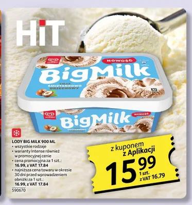 Lody Big Milk promocja w Selgros