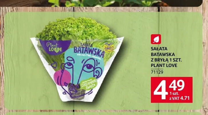 Sałata batawska z bryłą Plant Love promocja w Selgros