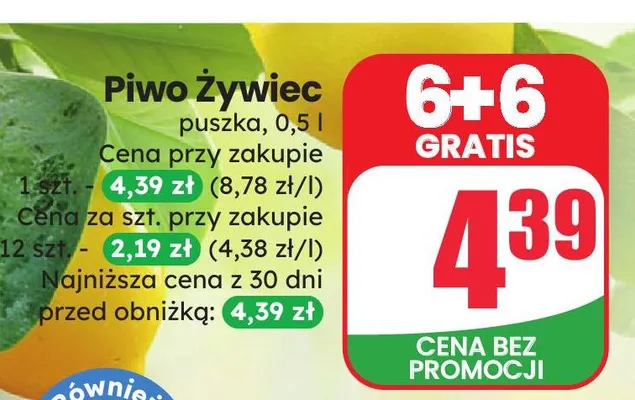 Piwo Żywiec Premium puszka promocja w Dino