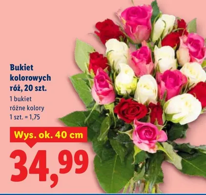 Bukiet kolorowych róż promocja w Lidl