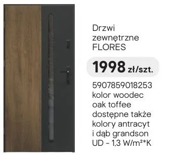 Drzwi zewnętrzne FLORES promocja w Castorama