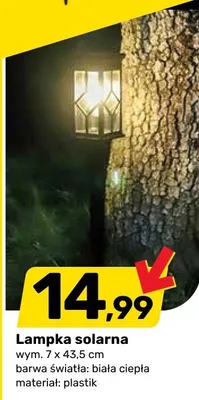 Lampka solarna promocja w Bricomarche