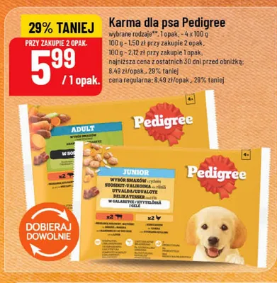 Karma dla psa Pedigree Junior 4-pak 100 g promocja w POLOmarket