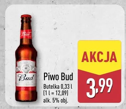 Piwo Bud promocja w Aldi