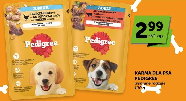 Karma dla psa Pedigree Junior z kurczakiem i ryżem w galaretce promocja w Euro Sklep