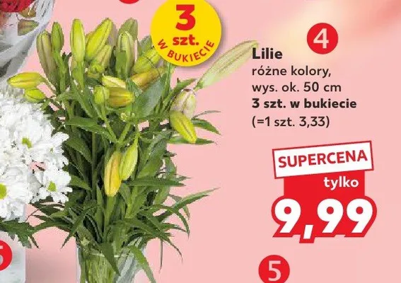 Lilie wys. ok. 50cm promocja w Kaufland
