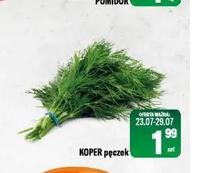 Koper pęczek promocja w Tomi Markt