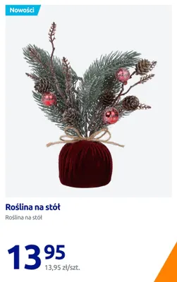 Roślina na stół promocja w Action