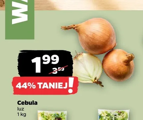 Cebula luz promocja w Netto