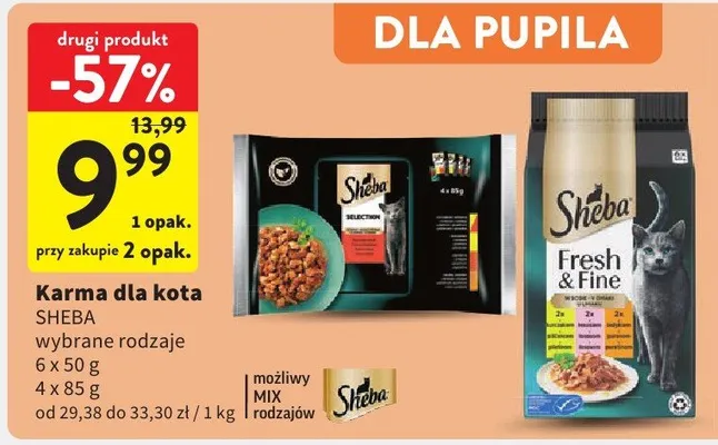 Karma dla kota Sheba wybrane rodzaje promocja w Intermarche