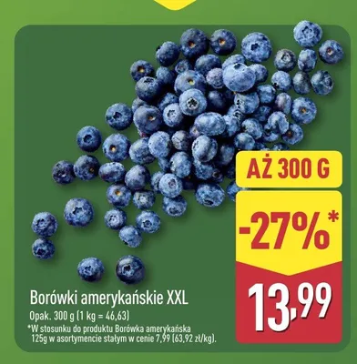 Borówki amerykańskie XXL promocja w Aldi