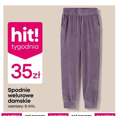 Spodnie welurowe damskie promocja w Pepco
