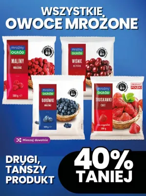 Maliny mrożone Mroźny Ogród promocja w Dino