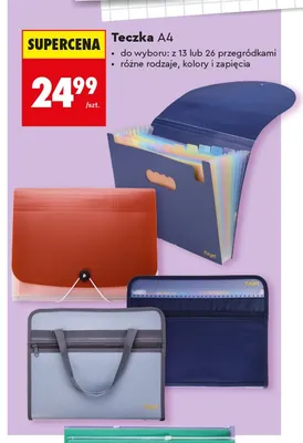 Teczka A4 z 13 przegródkami Kayet promocja w Biedronka
