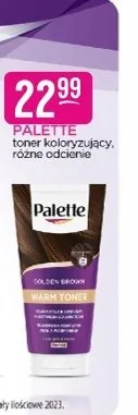 Toner koloryzujący różne odcienie Palette promocja w Drogerie Jasmin