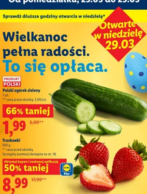 Truskawki promocja w Lidl