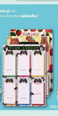 Plan lekcji A4 Henry promocja w Biedronka