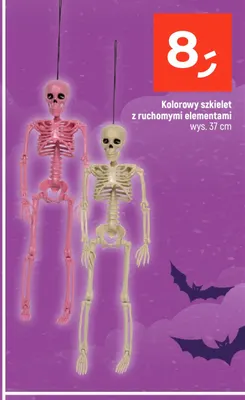 Kolorowy szkielet z ruchomymi elementami promocja w Dealz