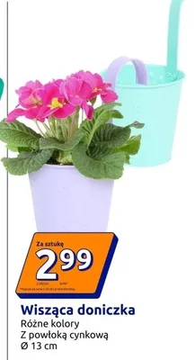 Wisząca doniczka promocja w Action