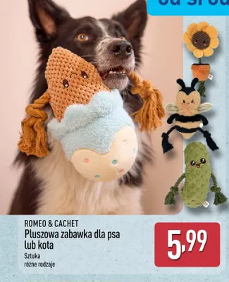 Pluszowa zabawka dla kota Romeo & Cachet promocja w Aldi