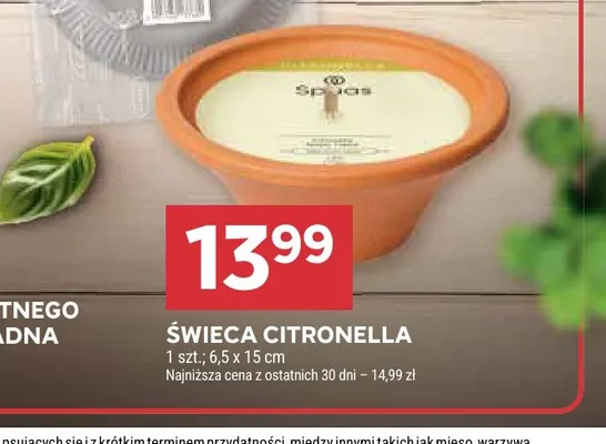 Świeca Citronella promocja w Stokrotka