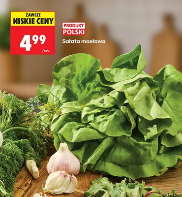 Sałata masłowa polska promocja w Biedronka