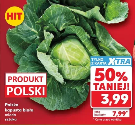 Kapusta biała młoda polska promocja w Kaufland