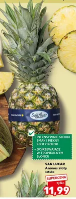 Ananas złoty SAN LUCAR promocja w Kaufland