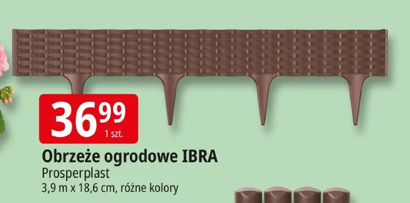 Obrzeże ogrodowe IBRA Prosperplast różne kolory promocja w Leclerc
