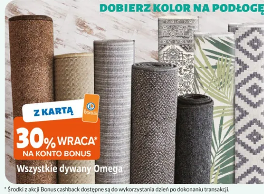 Wszystkie dywany Omega promocja w Leclerc