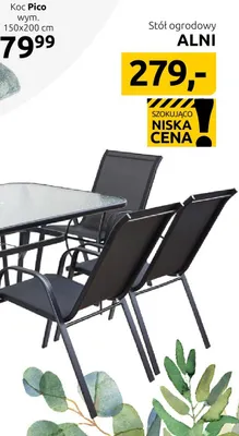 Koc Pico promocja w Black Red White