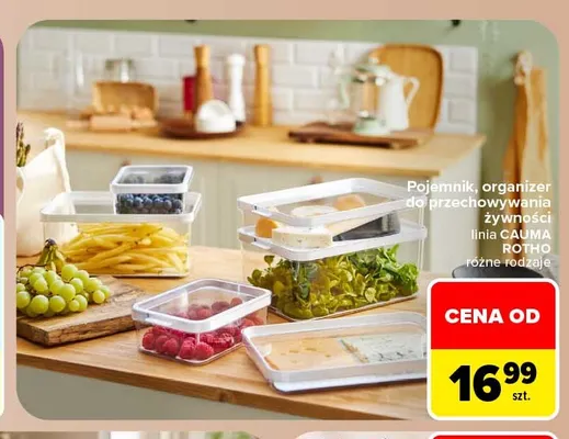 Pojemnik, organizer do przechowywania żywności linia Cauma Rotho promocja w Carrefour