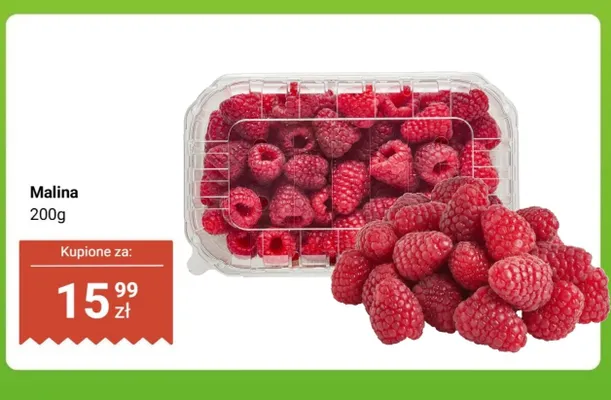 Malina promocja w Dino